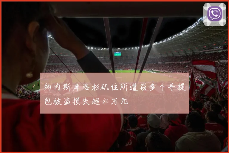 约内斯库洛杉矶住所遭窃多个手提包被盗损失超六万元