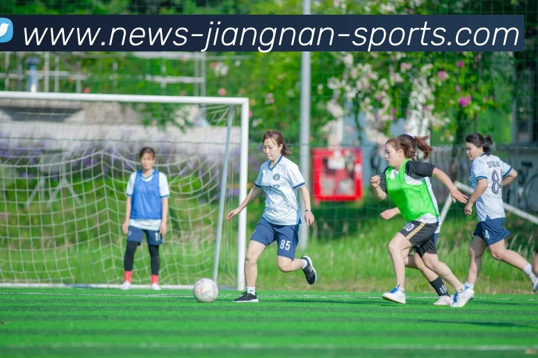 江南体育平台生态图